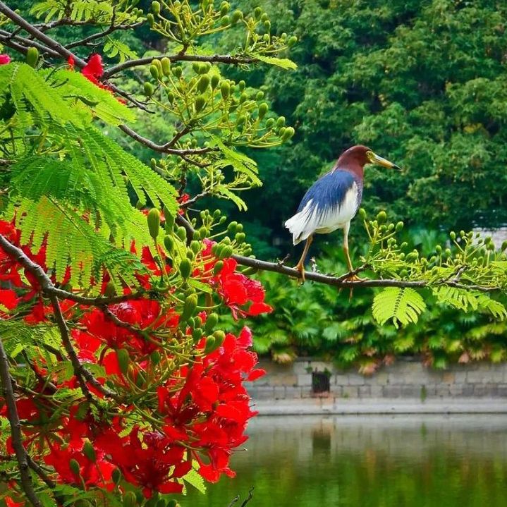 初夏吃什么好？